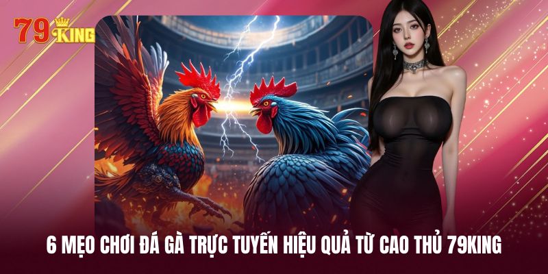 Những mẹo chơi đá gà trực tuyến dễ áp dụng