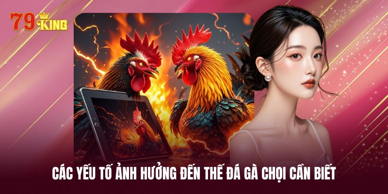 Yếu tố ảnh hưởng đến thế đá gà chọi cần hiểu rõ
