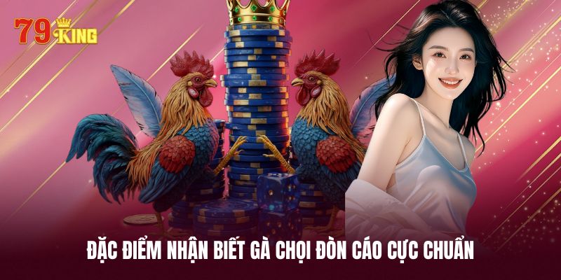 Đặc điểm nhận biết gà chọi đòn cáo nhanh nhất