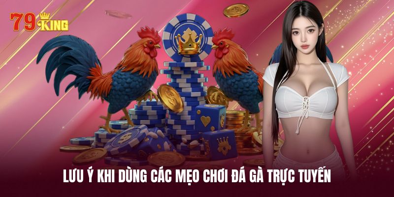 Lưu ý giúp mẹo chơi đá gà trực tuyến phát huy hiệu quả