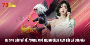 Cách xem lối đá của gà ảnh hưởng thế nào đến kết quả trận đấu?