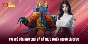 Tầm quan trọng của mẹo chơi đá gà trực tuyến