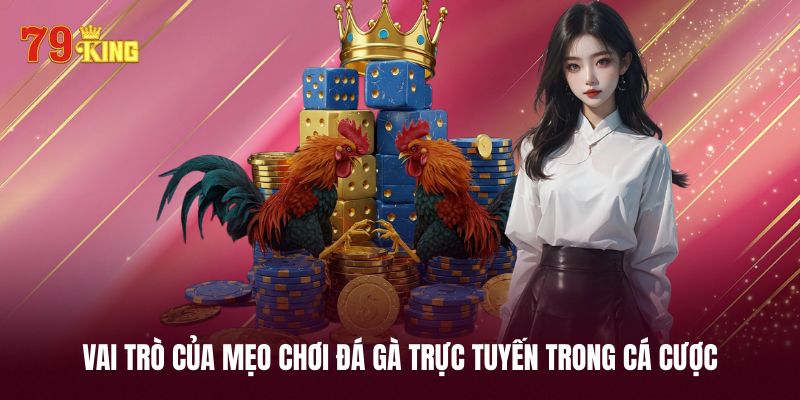 Tầm quan trọng của mẹo chơi đá gà trực tuyến